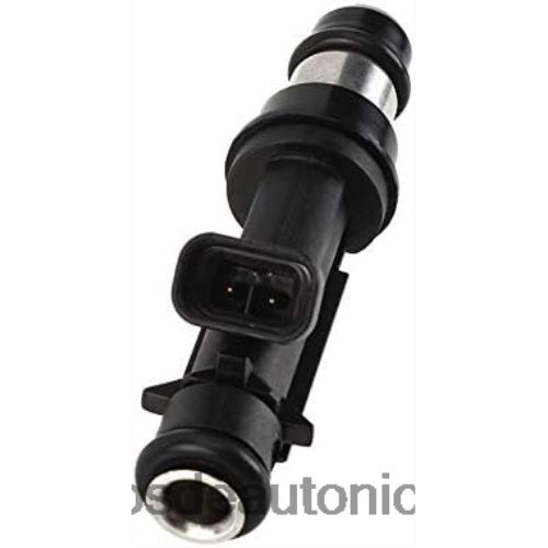 Repuestos de motos Yamaha Nicaragua - fj319 25313185 12569573 inyector de combustible V6HV8H145 CHEROLET&GM