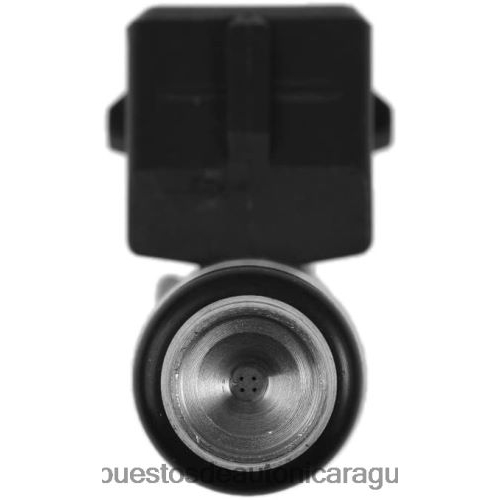 Repuestos de motos Nicaragua - inyector de combustible iwp001 V6HV8H493 FIAT