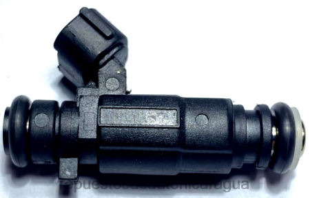 Repuestos de auto Nicaragua - inyector de combustible 16600ae060 0208V1881