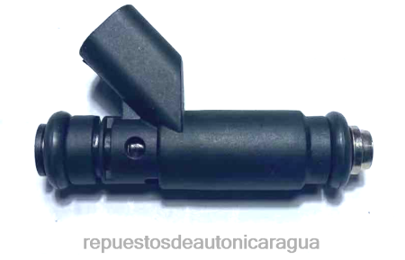 Repuestos de auto Nicaragua - inyector de combustible 4891573aa 0208V2331